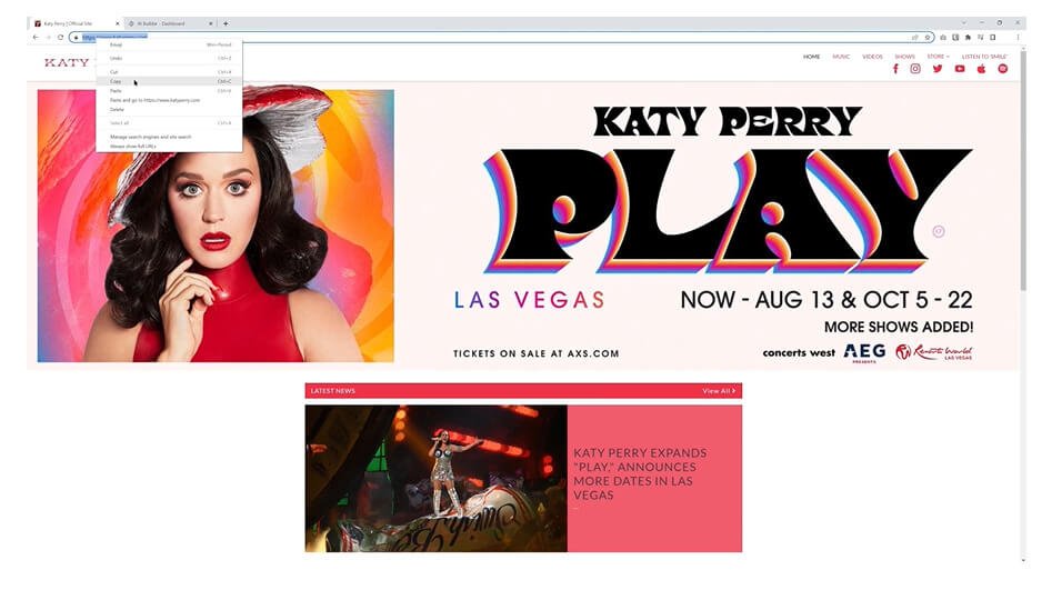 Um bom site de exemplo feito com wordpress é o da Katy Perry